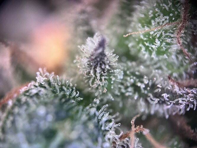 Growreport Bild 16