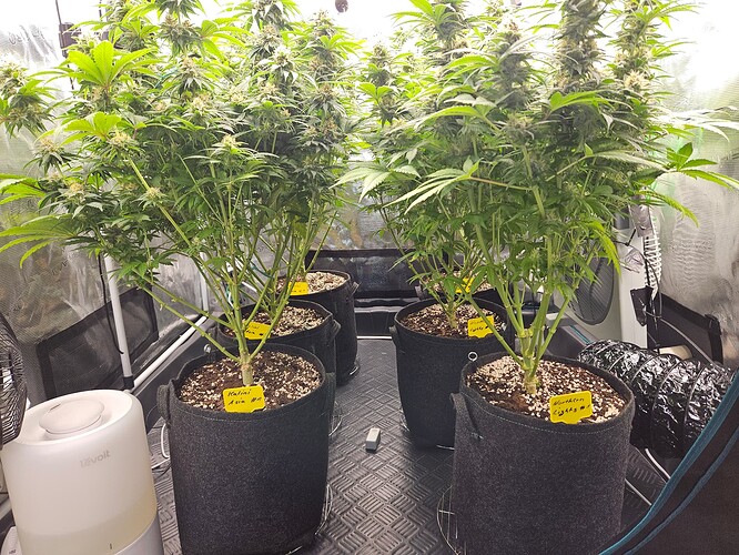 Growreport Bild 10