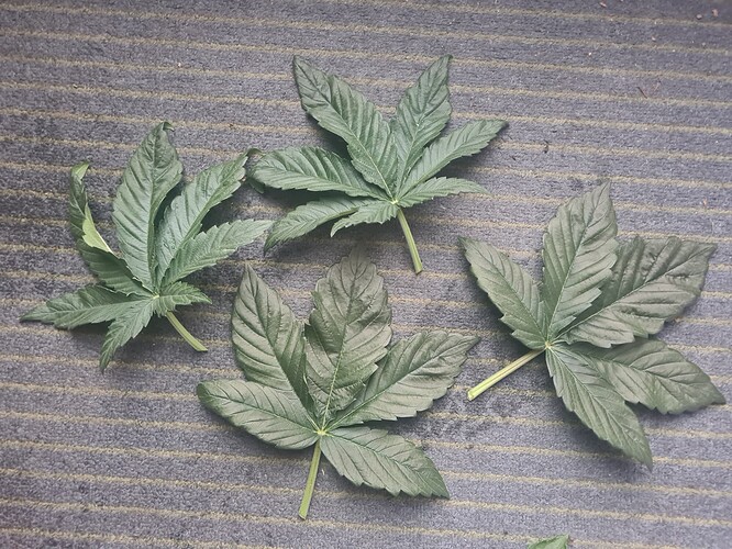 Growreport Bild 10