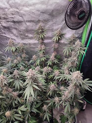 Growreport Bild 14