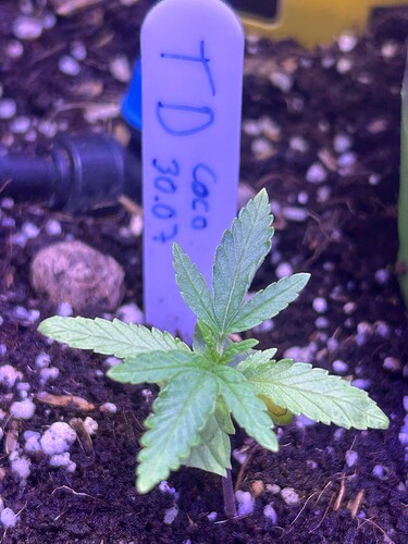 Growreport Bild 23