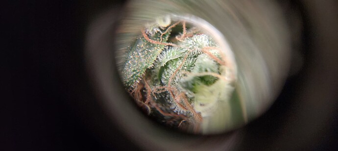 Growreport Bild 2