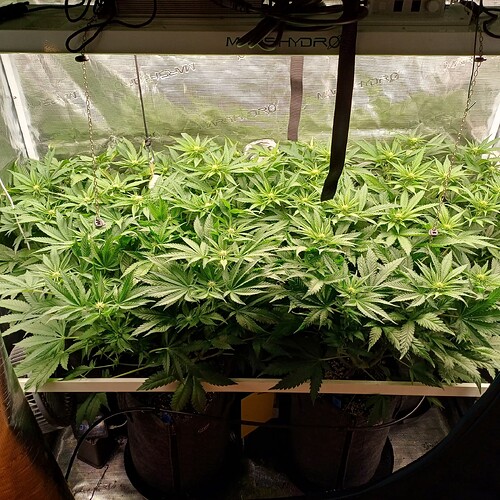 Growreport Bild 16
