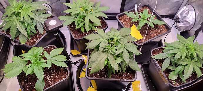 WhatsApp Image 2025-12-08 at 18.13.07 (5)