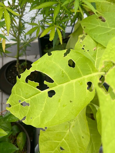 Growreport Bild 14