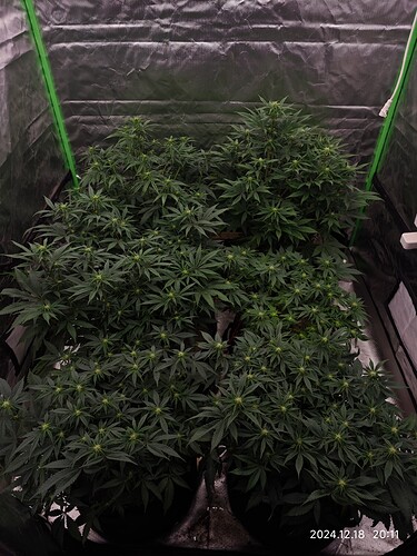 Growreport Bild 8