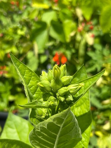 Growreport Bild 18