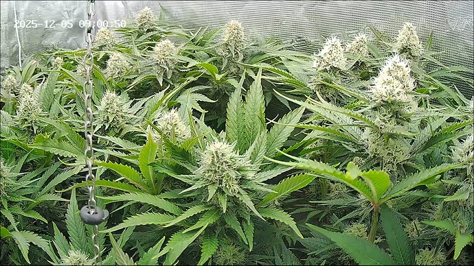 Growreport Bild 15