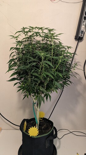 Growreport Bild 11