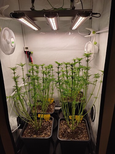 Growreport Bild 14