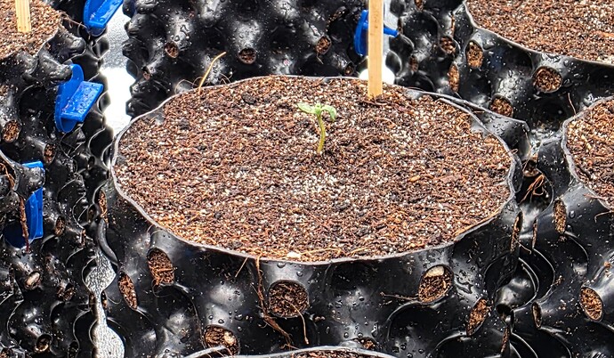 Growreport Bild 3