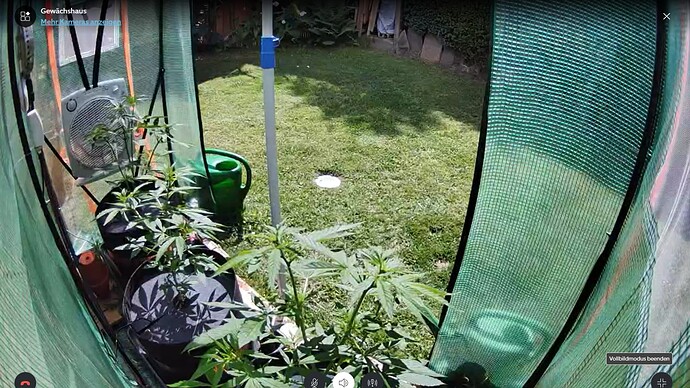 Growreport Bild 5