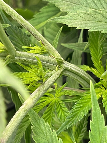 Growreport Bild 21
