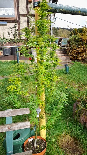 Growreport Bild 2