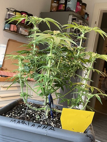 Growreport Bild 9