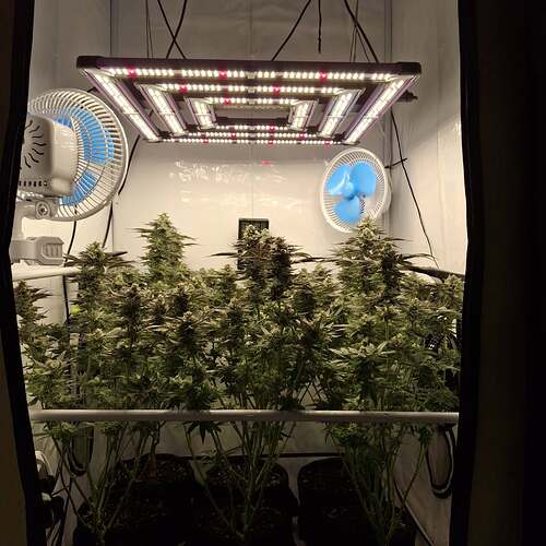 476910964_122168107418293599_6999269599494880217_n