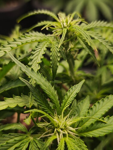 MVIMG_20251017_162109