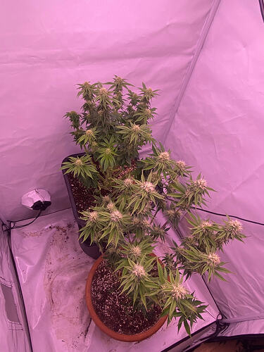 Growreport Bild 15