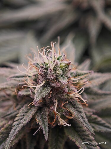 Growreport Bild 18