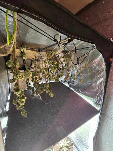 Growreport Bild 3