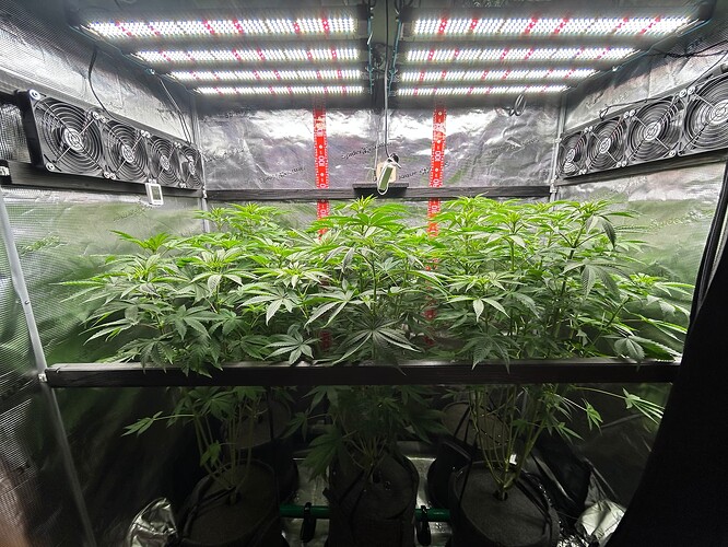 Growreport Bild 27