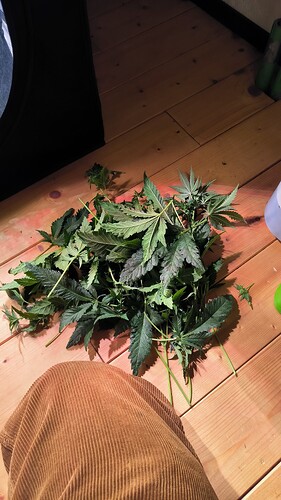 Growreport Bild 19