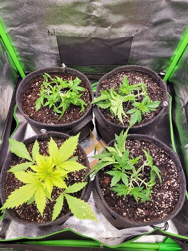 Growreport Bild 10