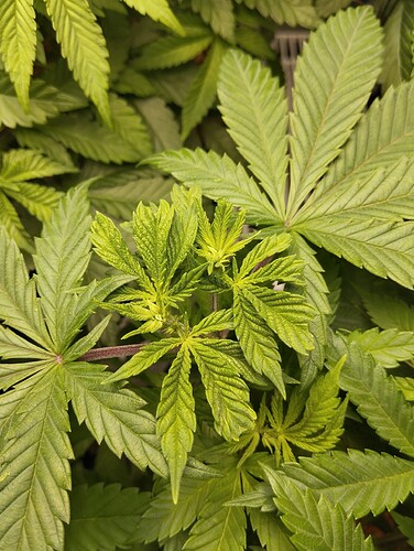 Growreport Bild 12