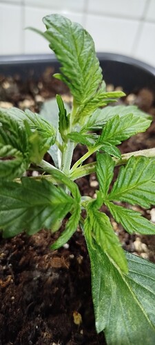 Growreport Bild 14