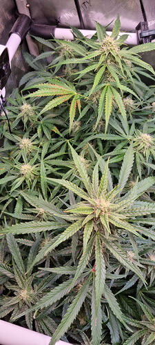 Growreport Bild 22