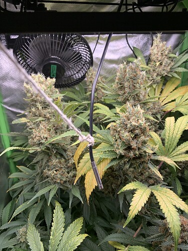 Growreport Bild 16