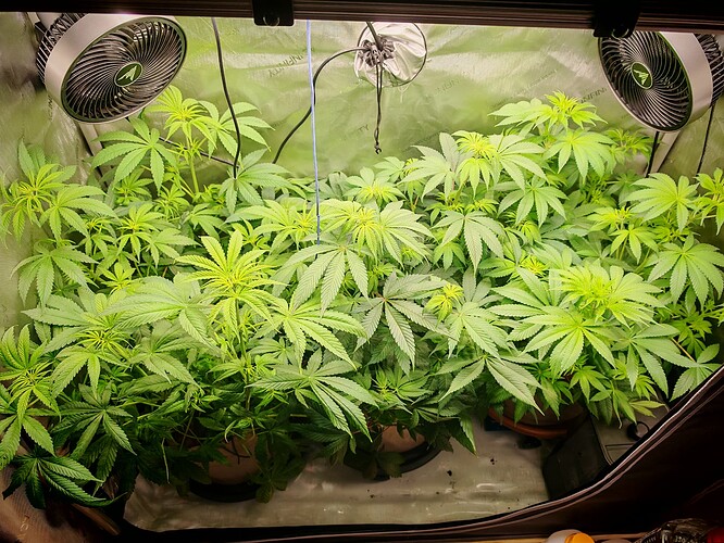Growreport Bild 2