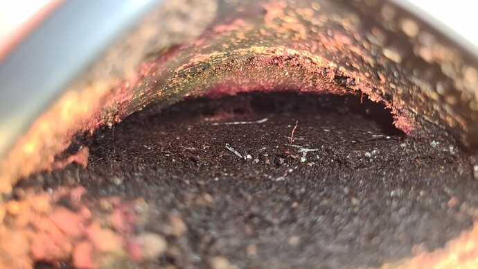 Growreport Bild 9