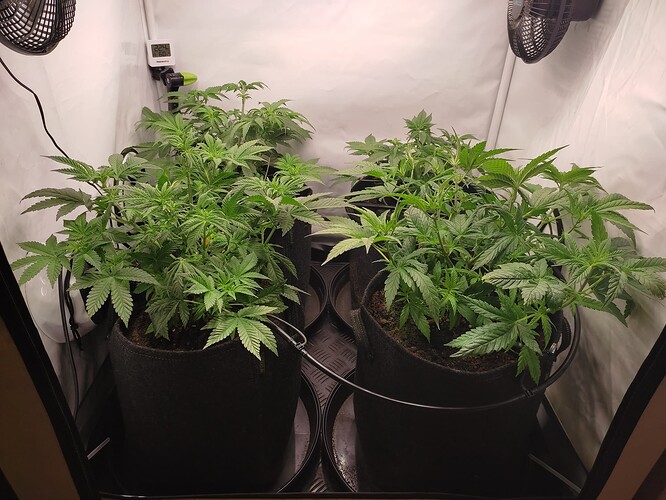 Growreport Bild 23