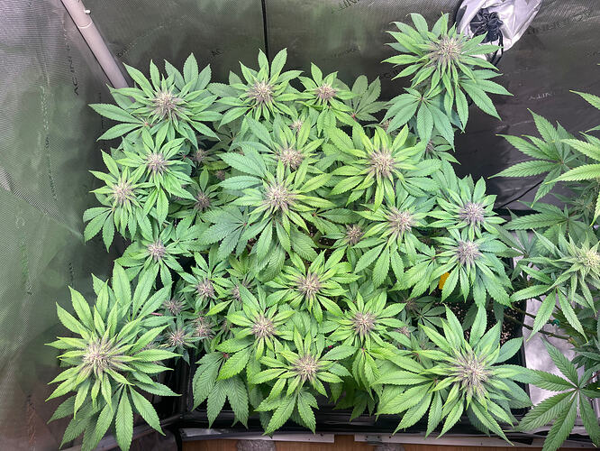 Growreport Bild 14