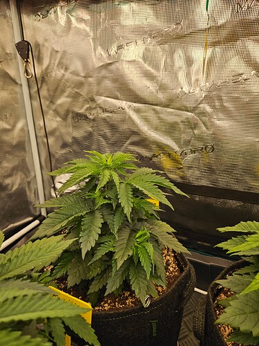 Growreport Bild 6