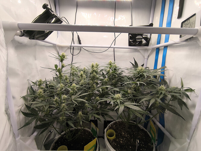Growreport Bild 6