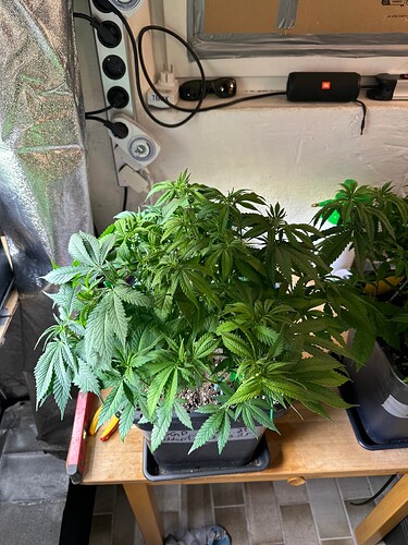 Growreport Bild 10