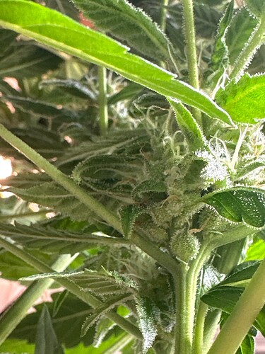 Growreport Bild 11