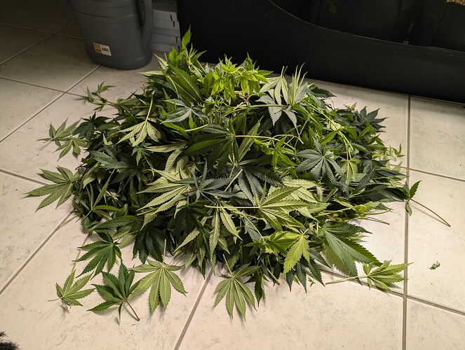 Growreport Bild 2
