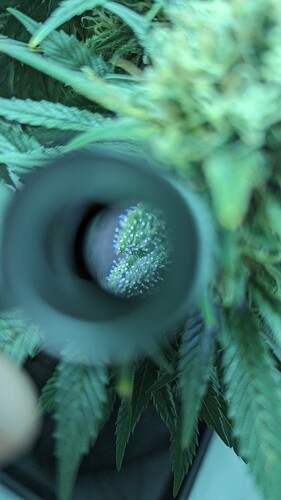 PXL_20240412_071714492