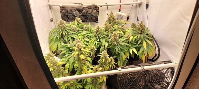 Growreport Bild 1