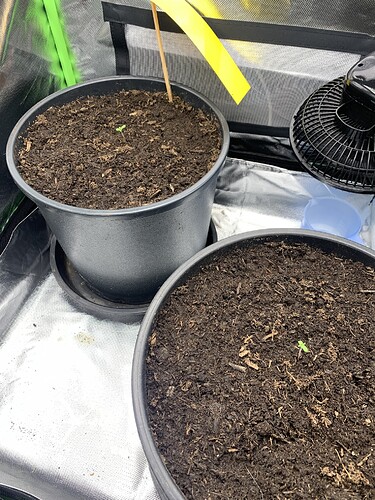 Growreport Bild 14