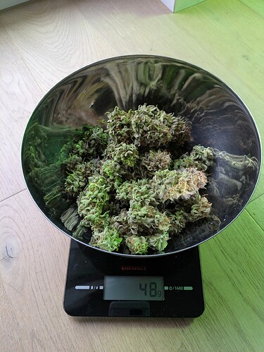 Growreport Bild 6
