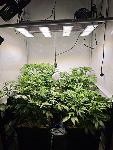 Growreport Bild 10