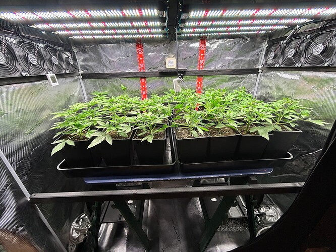 Growreport Bild 15