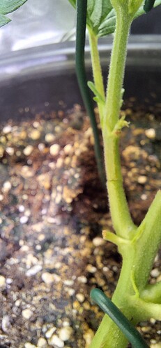 Growreport Bild 10