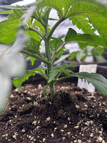 Growreport Bild 9