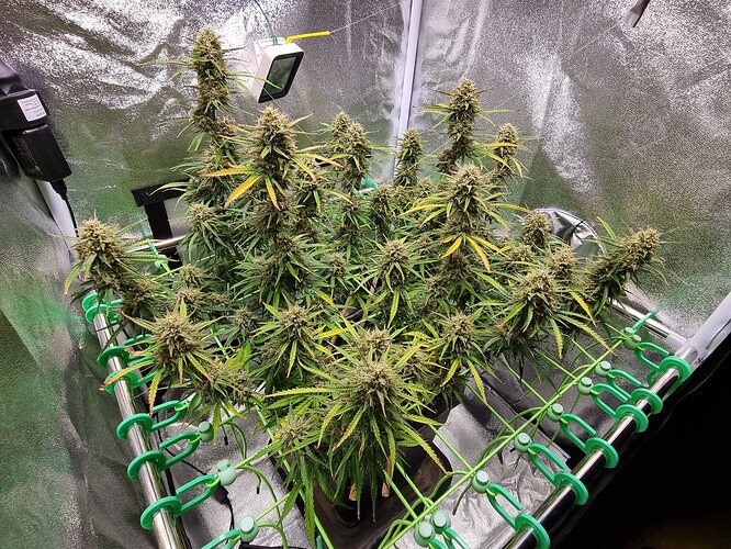 Growreport Bild 11