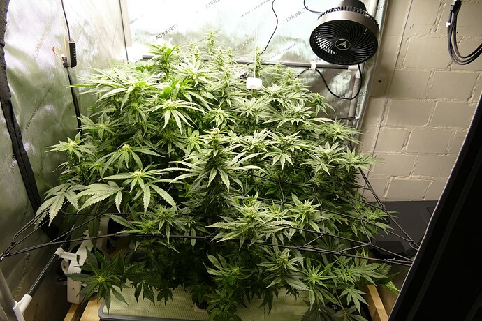 Übersicht_vorne_schräg_VT69BT22